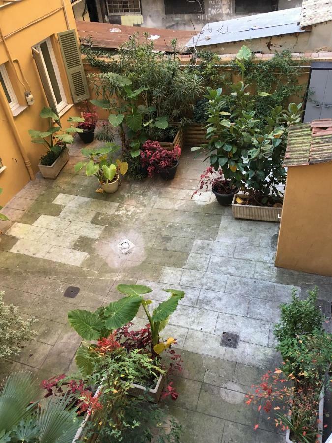 Heart Of Nice Harboor Cosy And Central מראה חיצוני תמונה